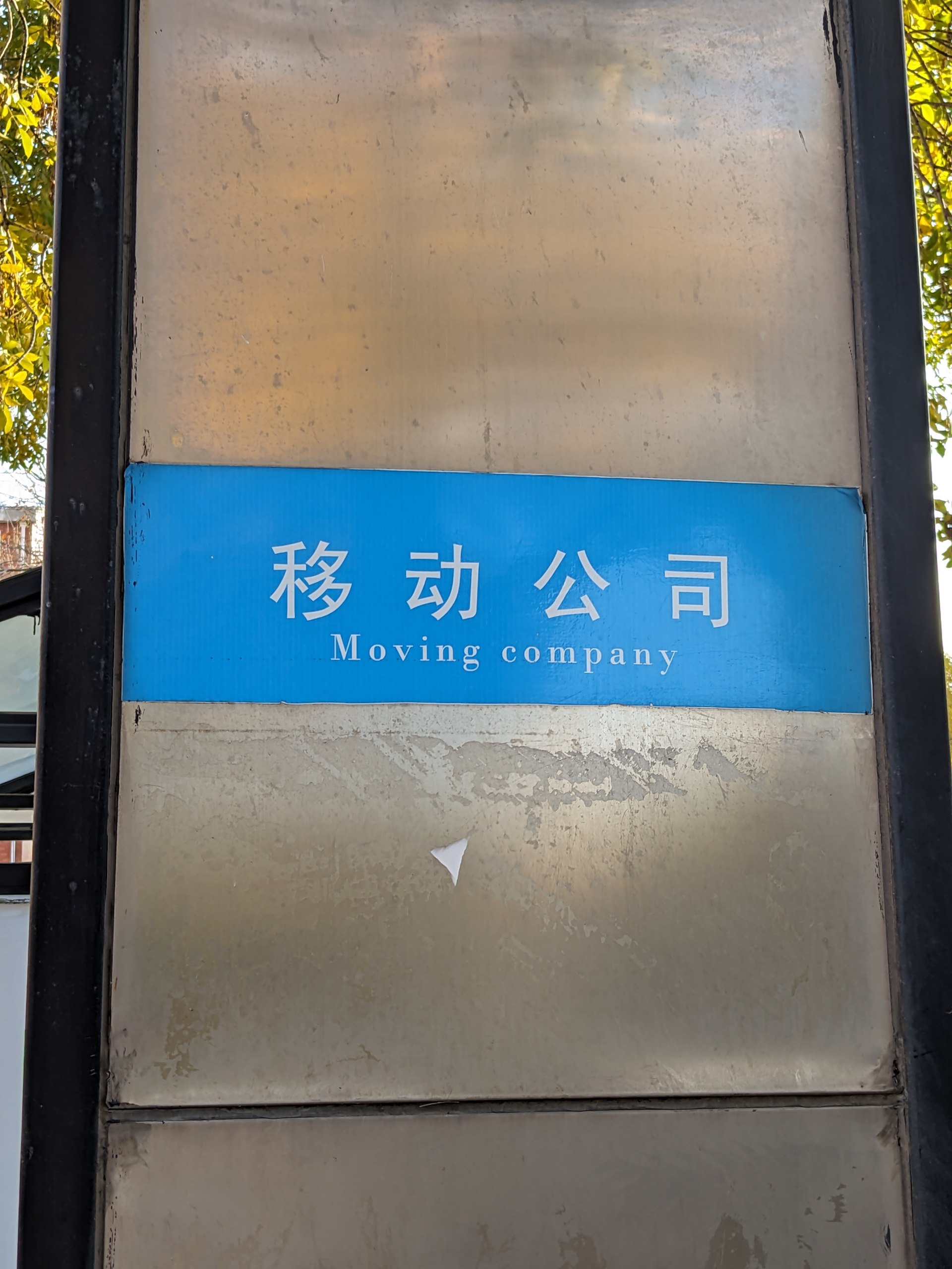 Translation Grass History