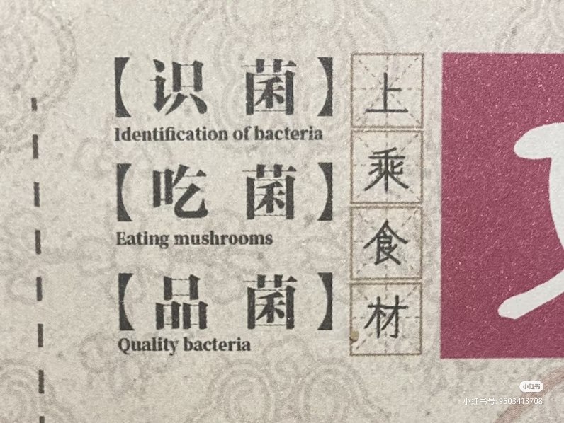 Translation Grass History